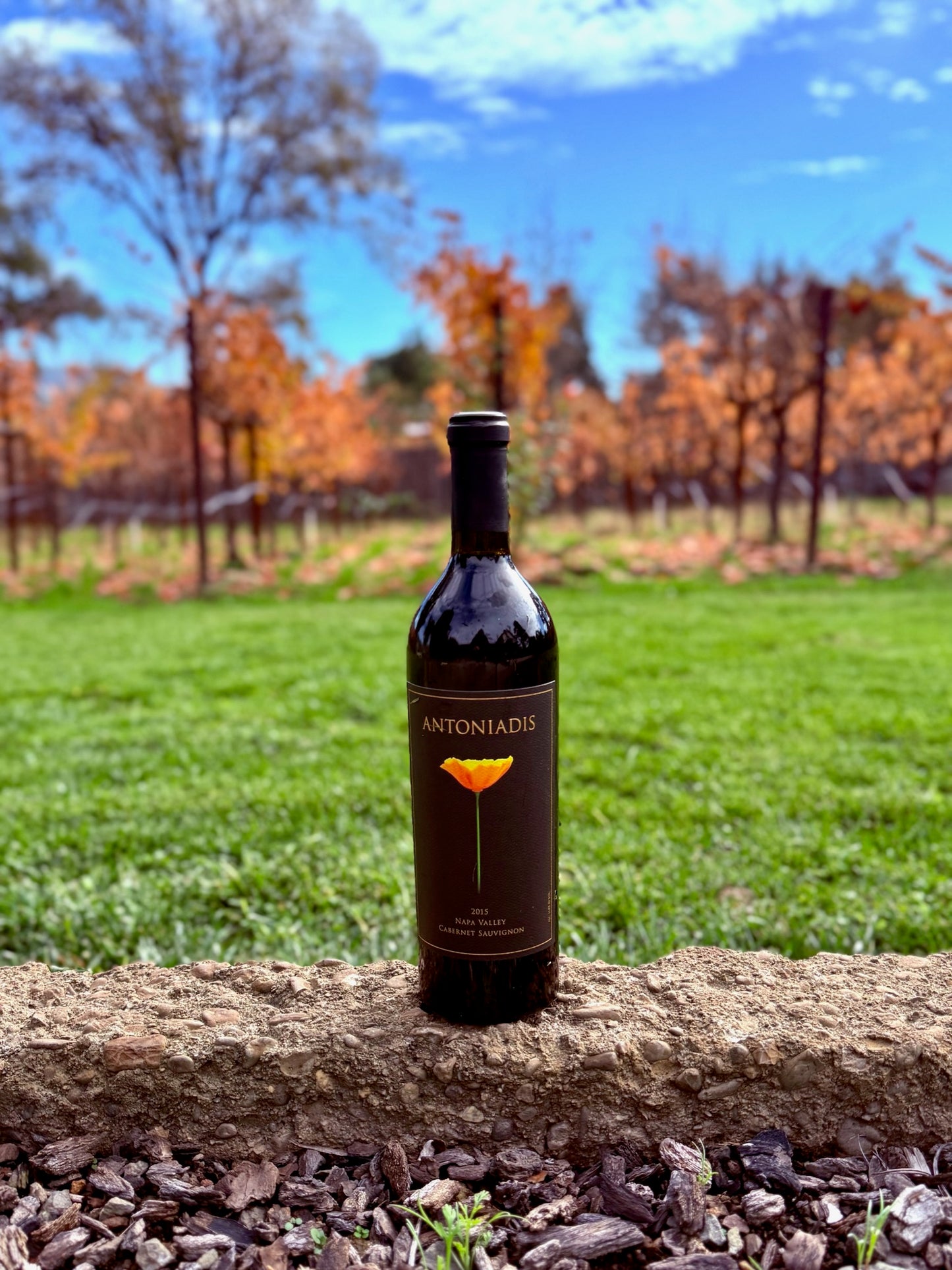 2018 Antoniadis Cabernet Sauvignon