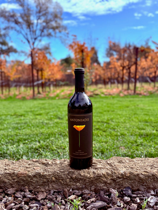 2018 Antoniadis Cabernet Sauvignon