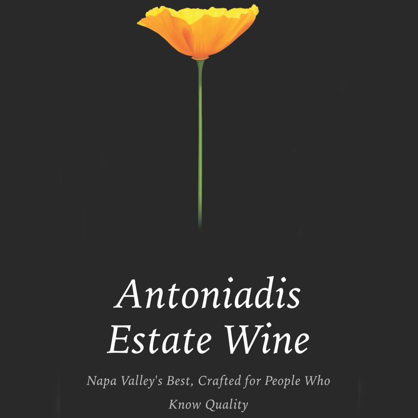 2021 Antoniadis Cabernet Sauvignon